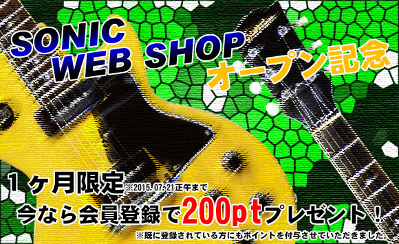 WEB SHOP 200pt